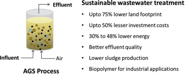 Aerobic Granule Sludge Process Image from Science Direct